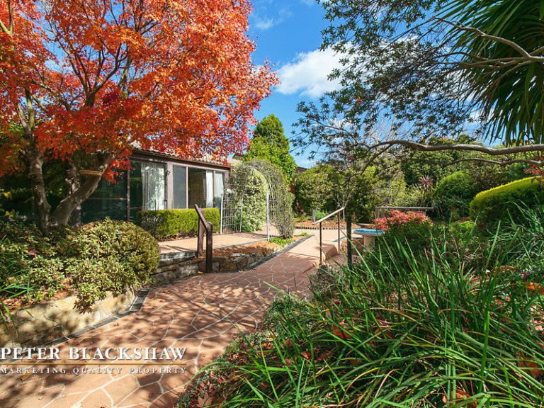 Preview image for Buy