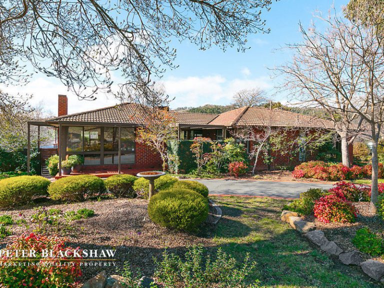 Preview image for Buy