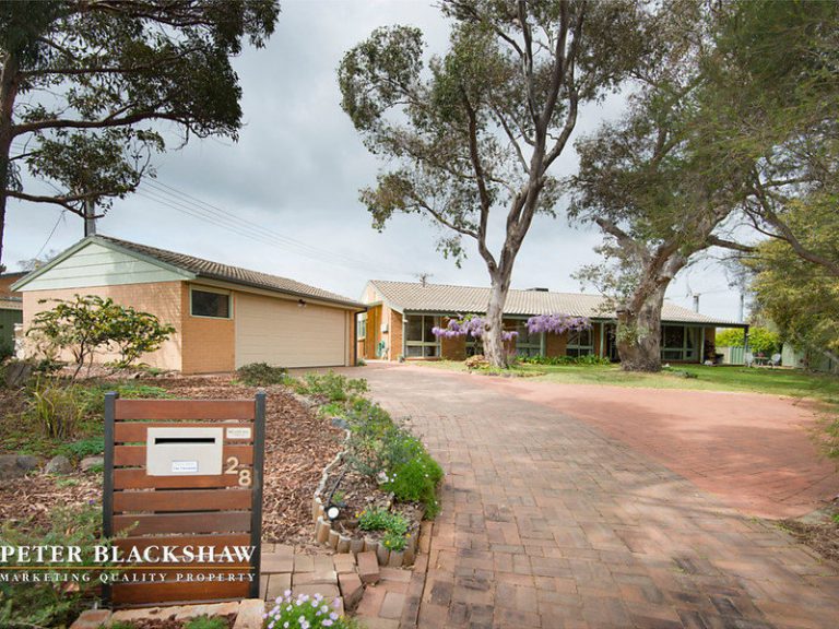 Preview image for Buy