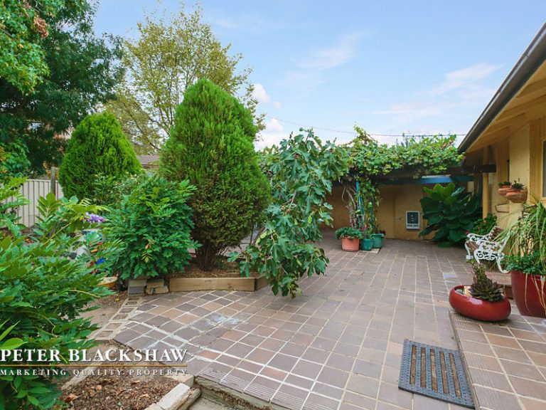 Preview image for Buy