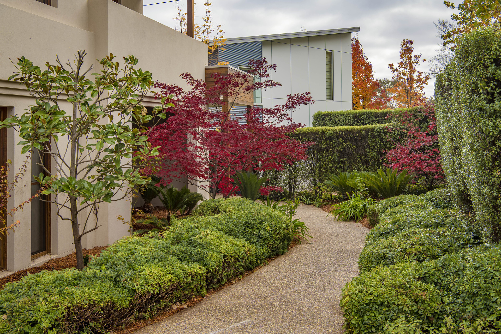 82 Jansz Crescent, GRIFFITH ACT 2603, Griffith - Thumbnail 3