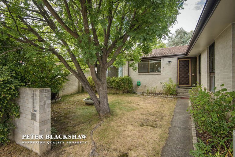 Preview image for Buy