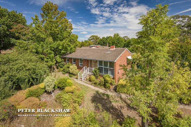 Preview image for Buy