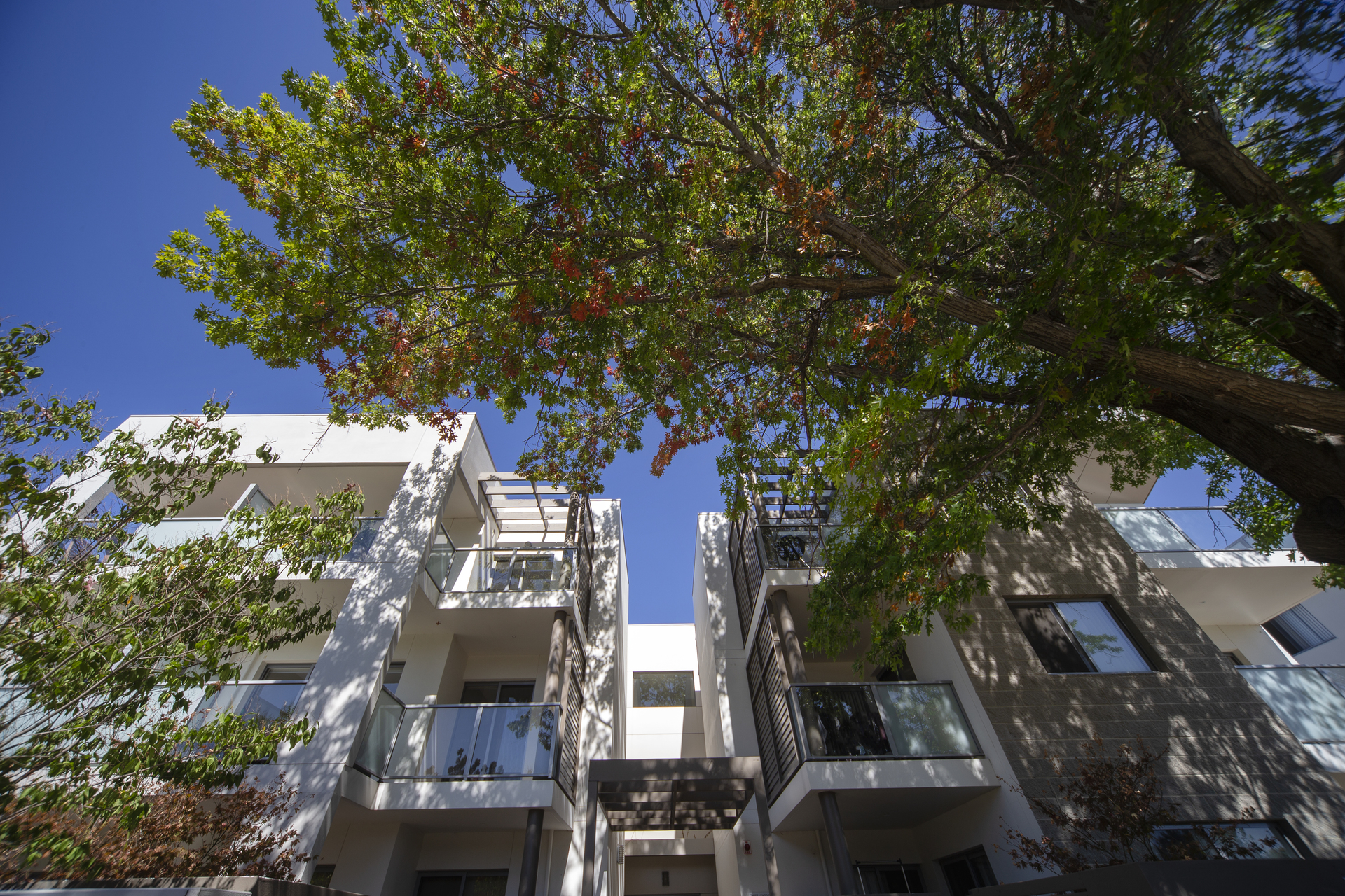 27/3 Towns Crescent, TURNER ACT 2612, Turner - Thumbnail 2