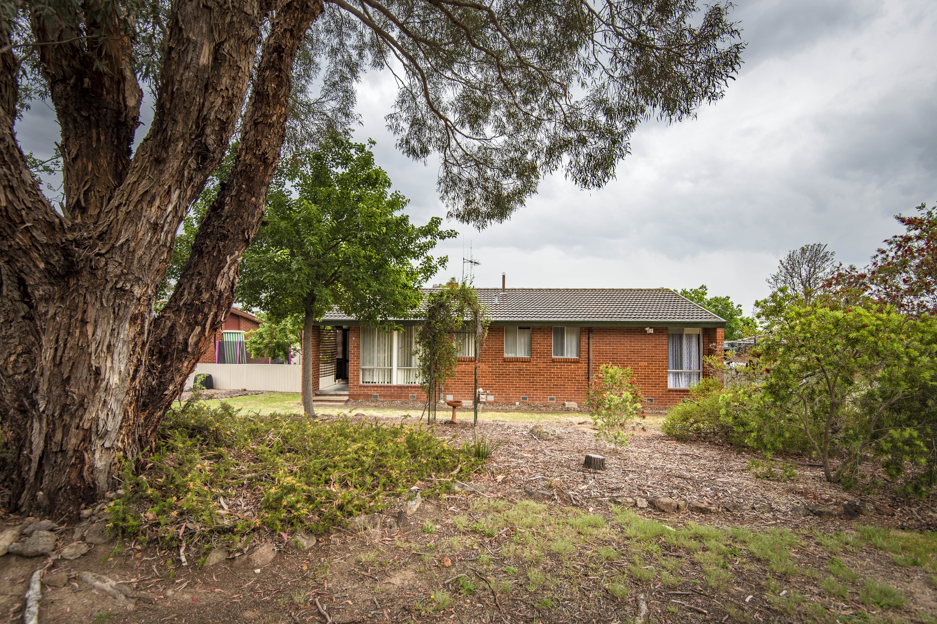 48 Nelumbo Street, RIVETT ACT 2611, Rivett - Thumbnail 3