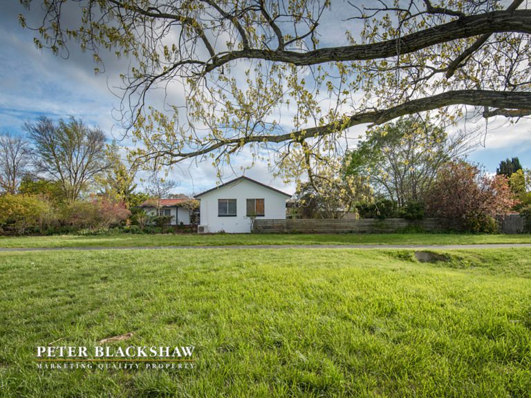 Preview image for Buy