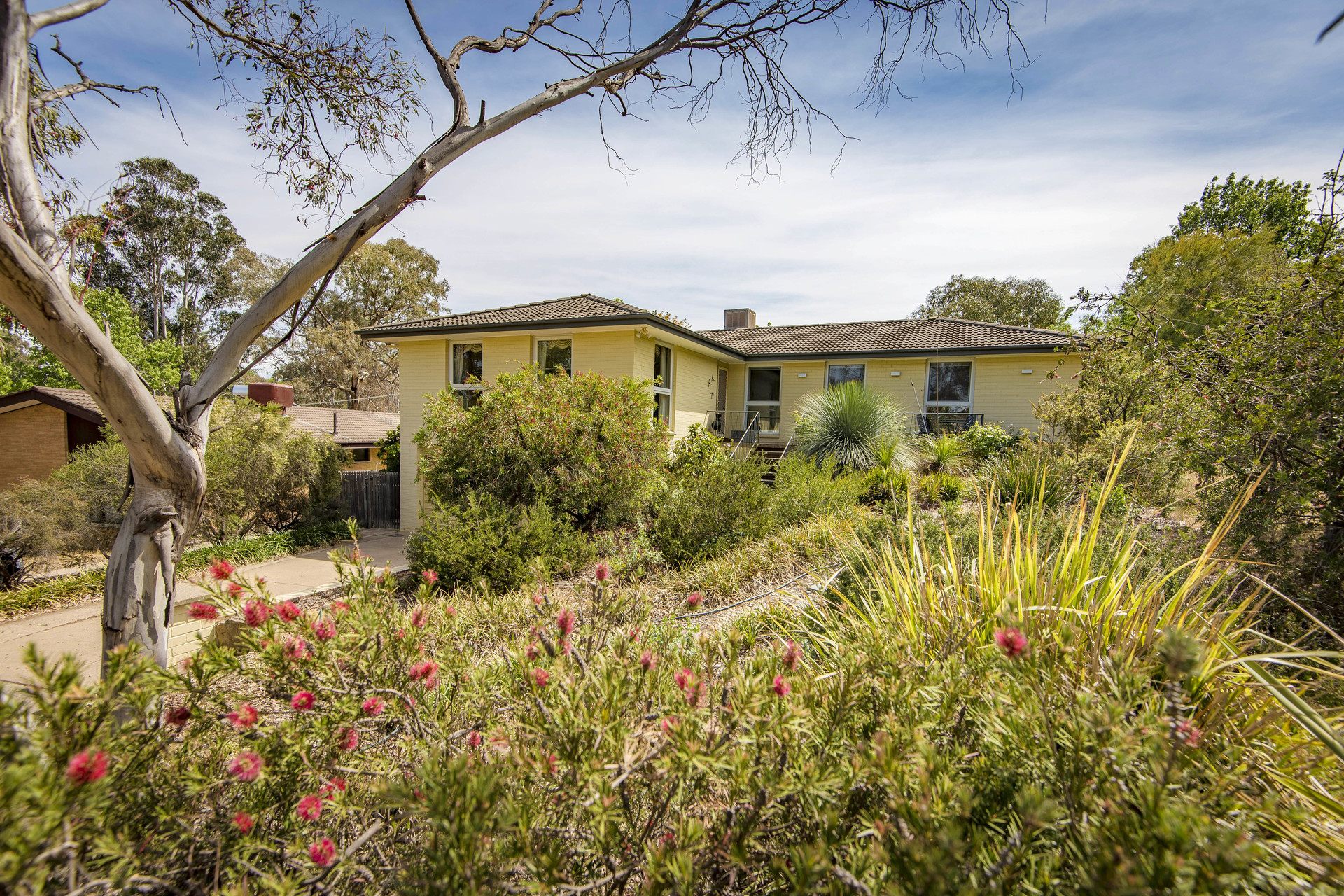 16 Fullwood Street, WESTON ACT 2611