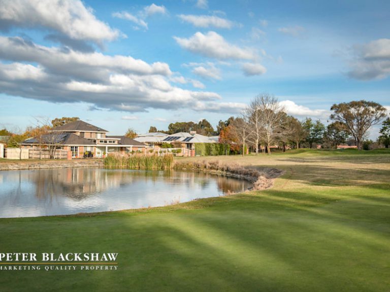 Preview image for Buy