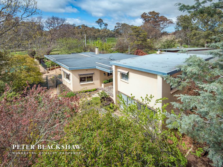 Preview image for Buy