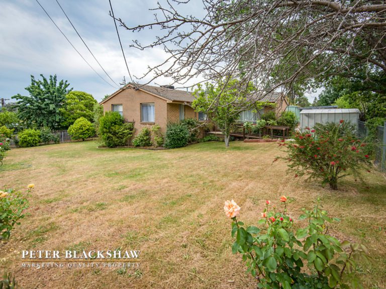 Preview image for Buy