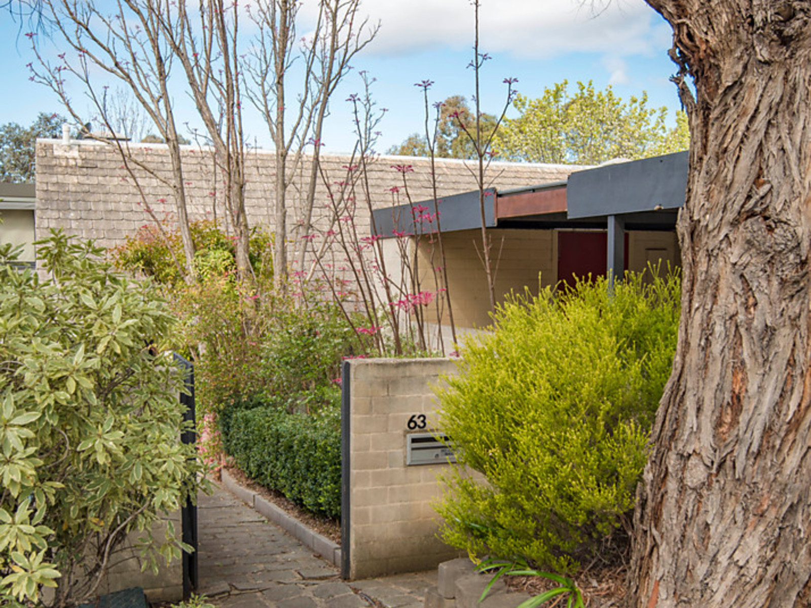 63 Maclachlan Street, HOLDER ACT 2611, Holder - Thumbnail 8