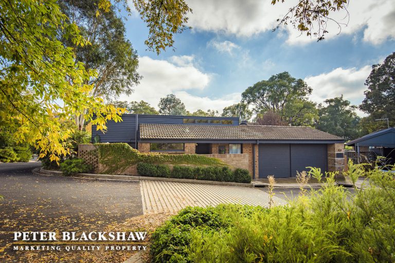 Preview image for Buy