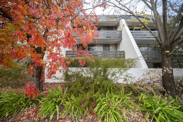 Preview image for Buy