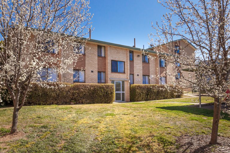 Preview image for Buy