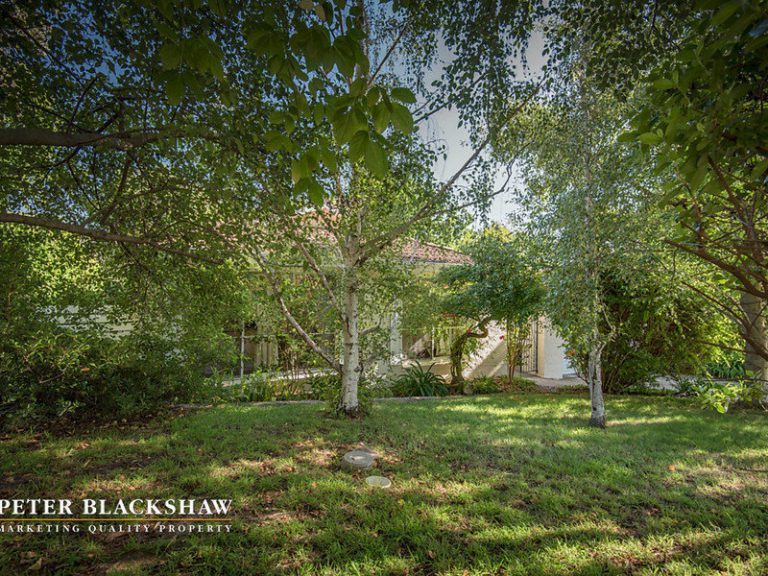 Preview image for Buy