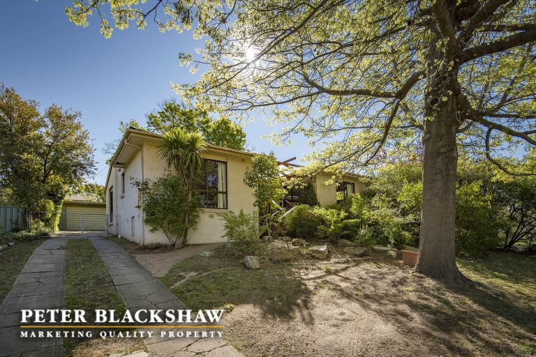 Preview image for Buy