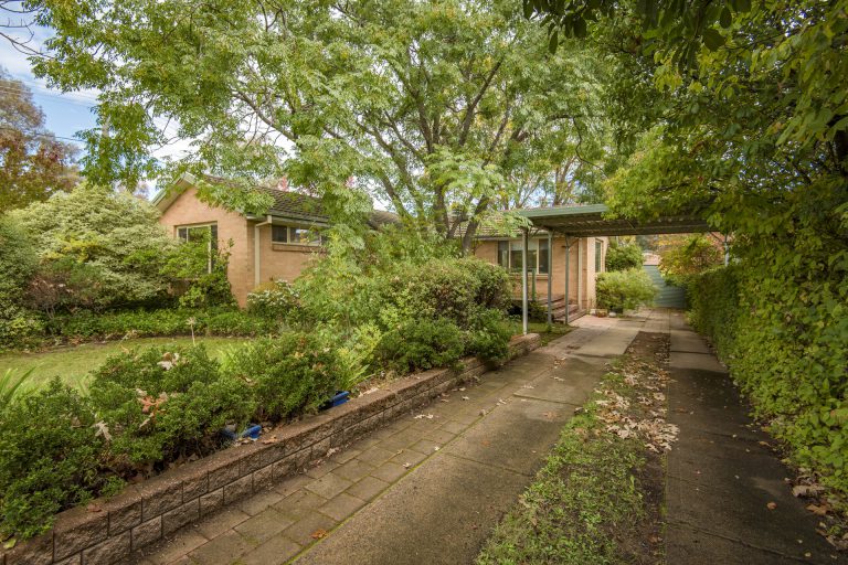 Preview image for Buy