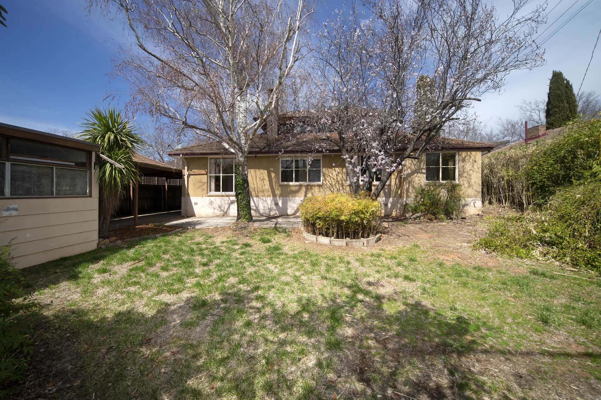 26 Carrington Street, DEAKIN ACT 2600, Deakin - Thumbnail 2