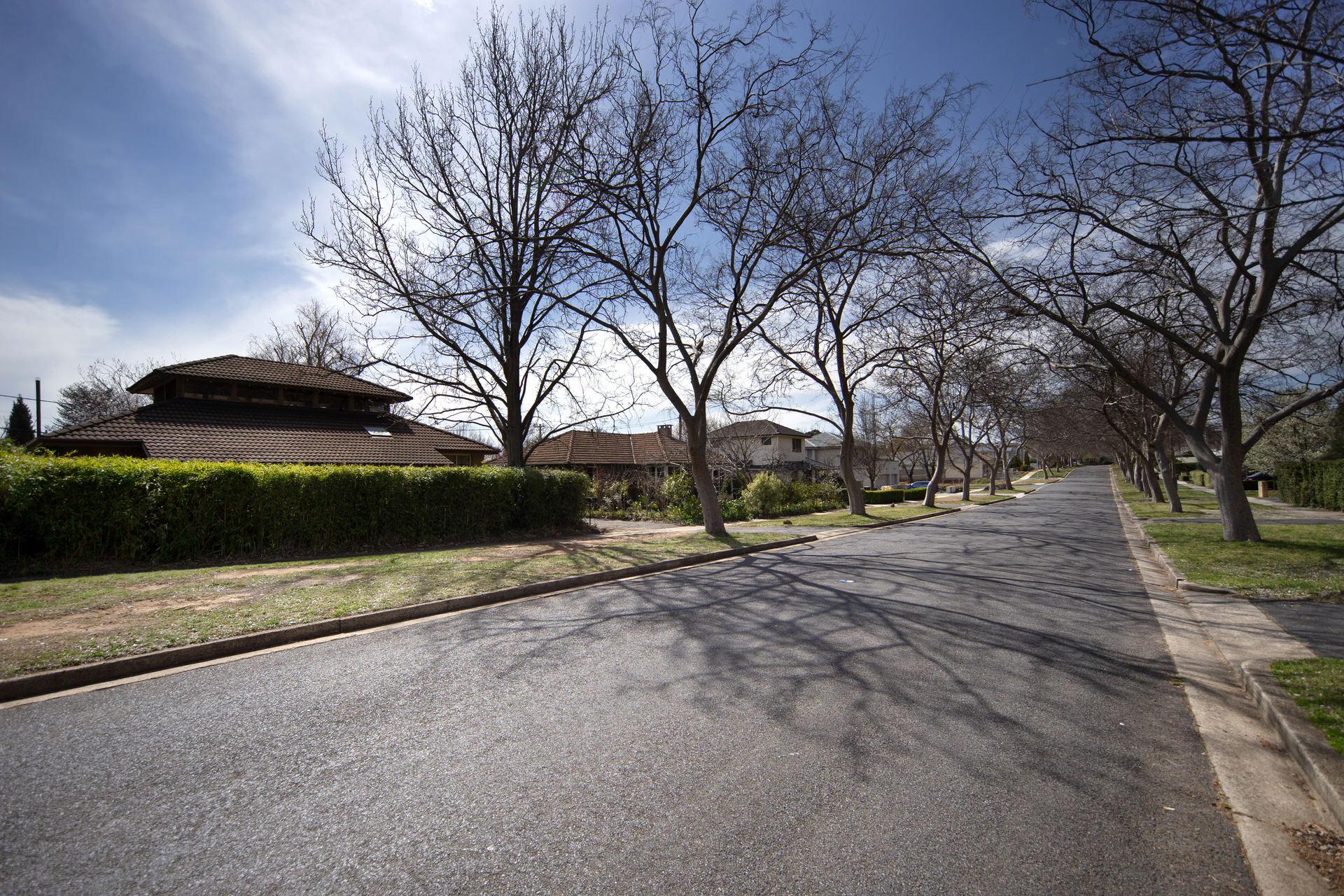 26 Carrington Street, DEAKIN ACT 2600, Deakin - Thumbnail 3