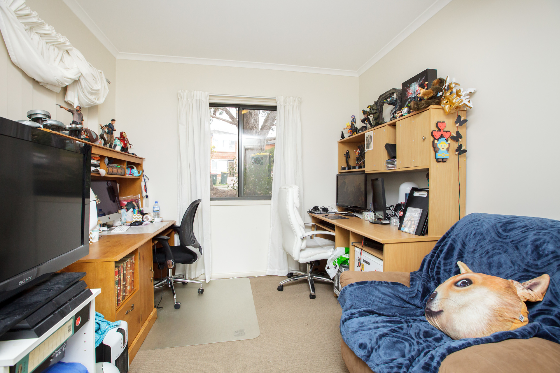 5/2 Adair Street, SCULLIN ACT 2614, Scullin - Thumbnail 7