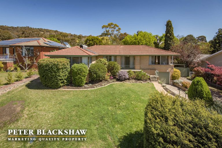 Preview image for Buy