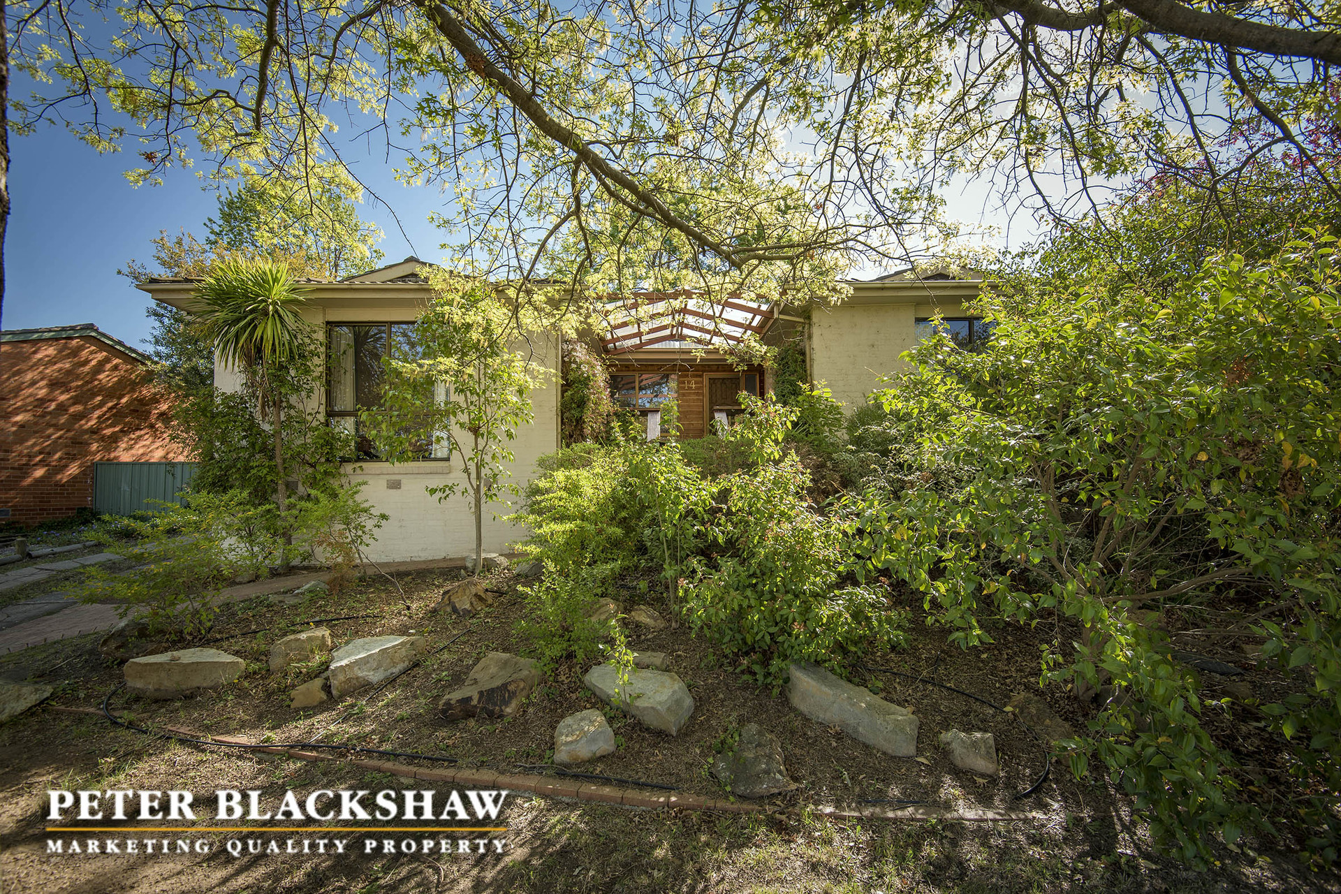 14 Service Street, CURTIN ACT 2605, Curtin - Thumbnail 2