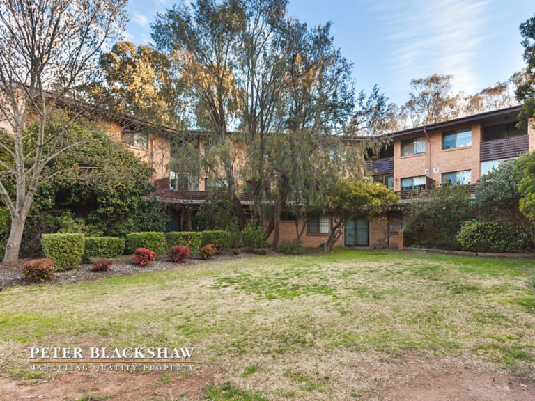 Preview image for Buy