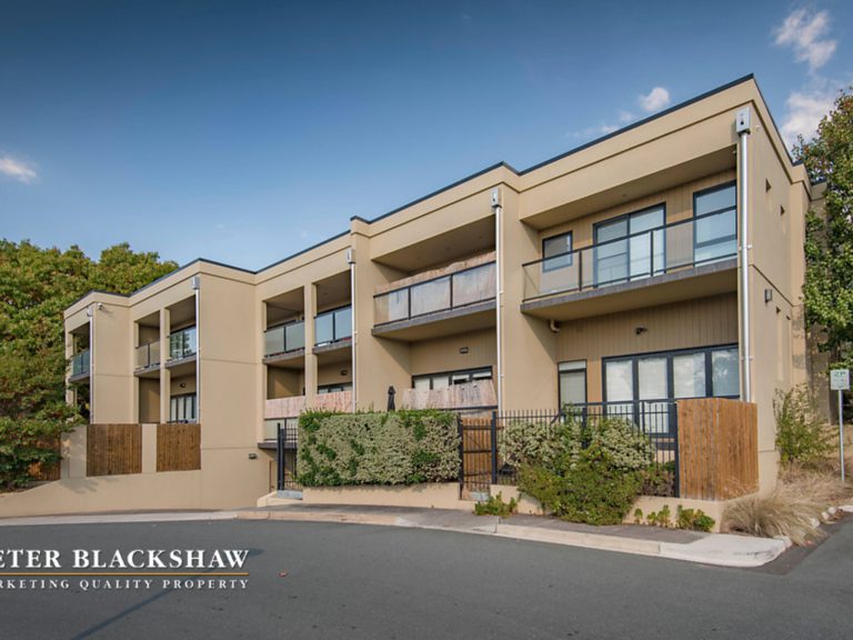 Preview image for Buy