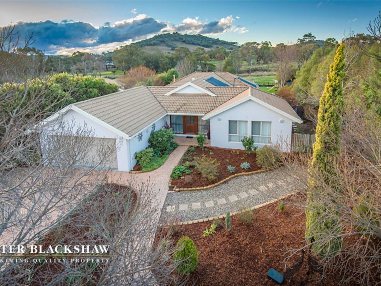 Preview image for Buy