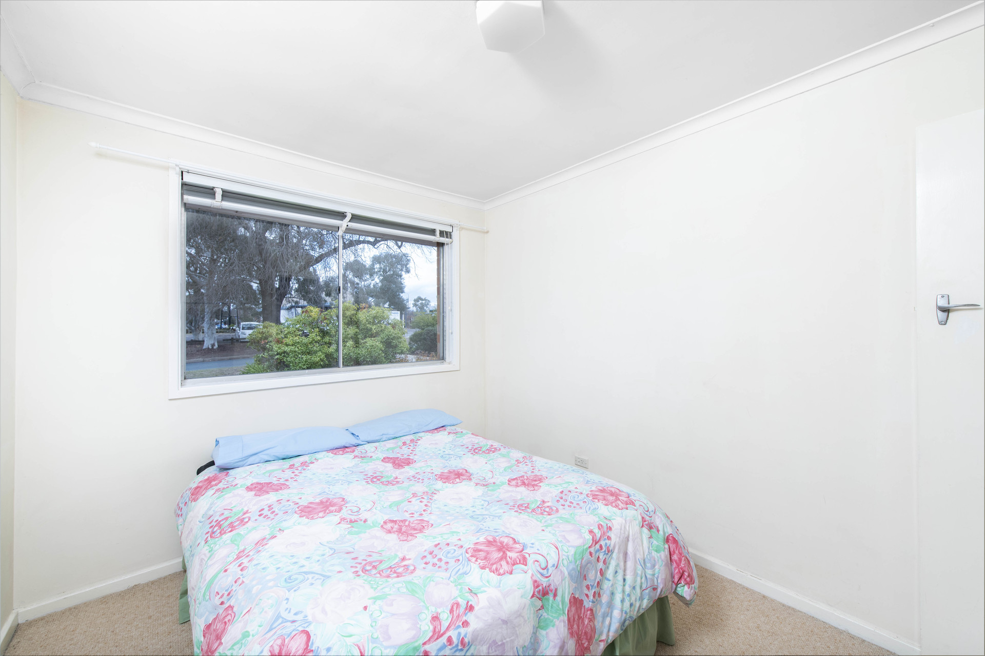 23 Gillies Street, CURTIN ACT 2605, Curtin - Thumbnail 8