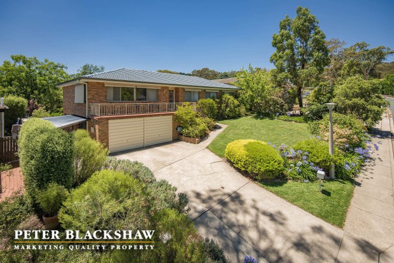 Preview image for Buy