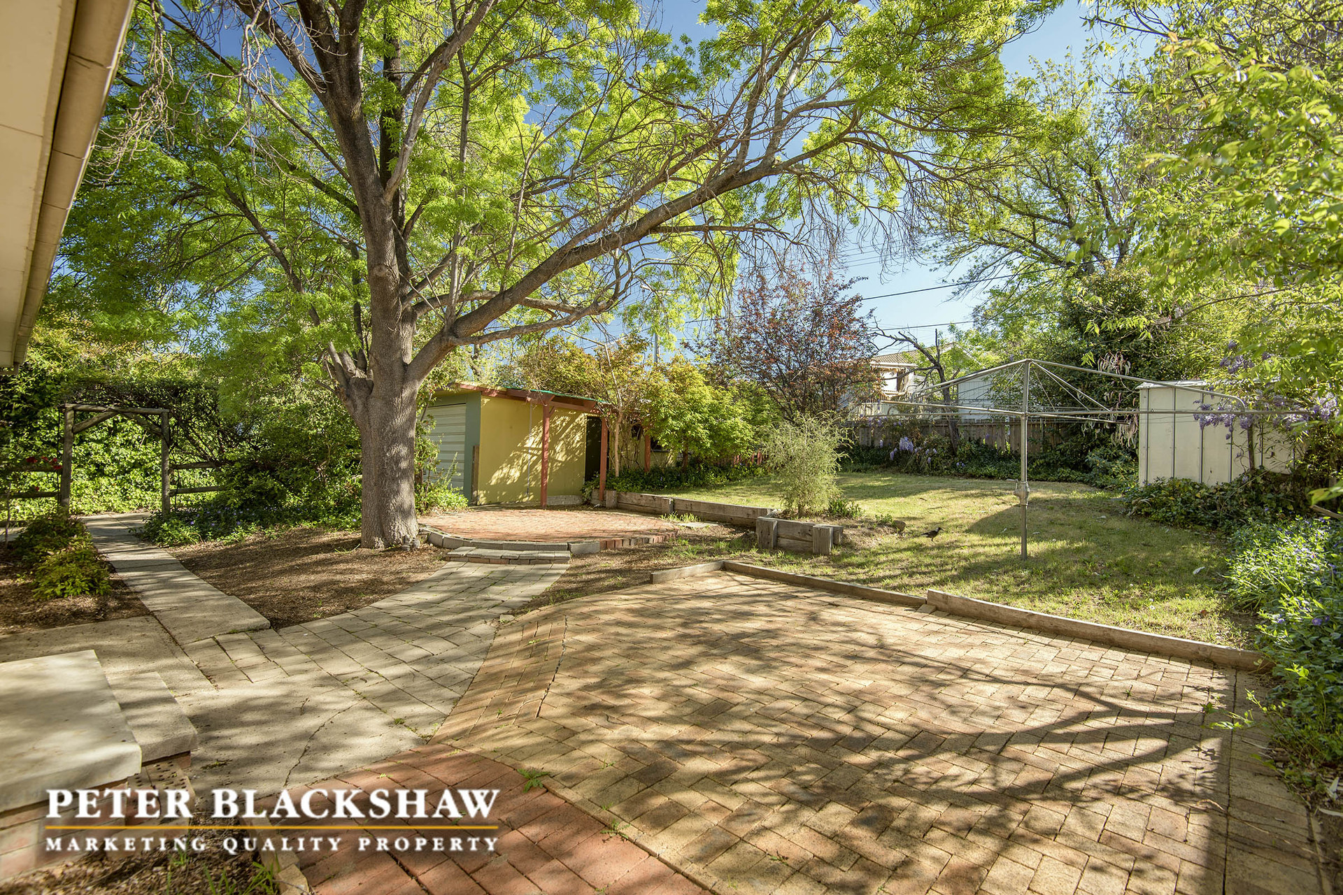 14 Service Street, CURTIN ACT 2605, Curtin - Thumbnail 4