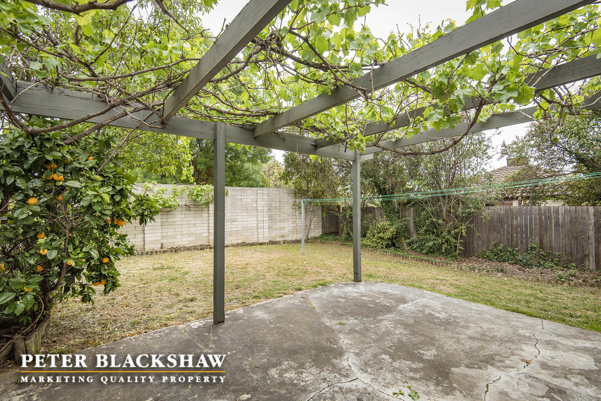 15 Cosgrove Street, CURTIN ACT 2605, Curtin - Thumbnail 4