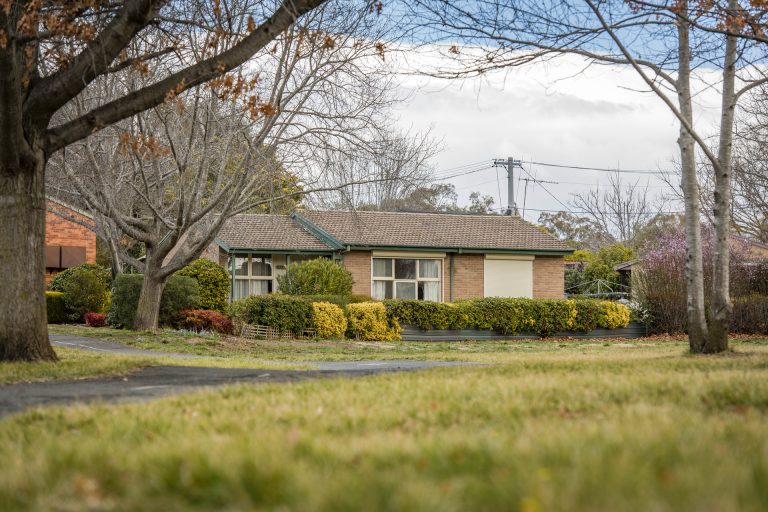 Preview image for Buy