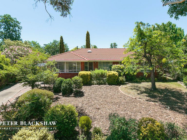 Preview image for Buy