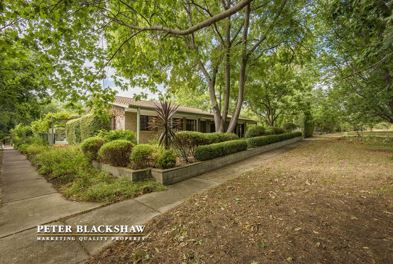 Preview image for Buy