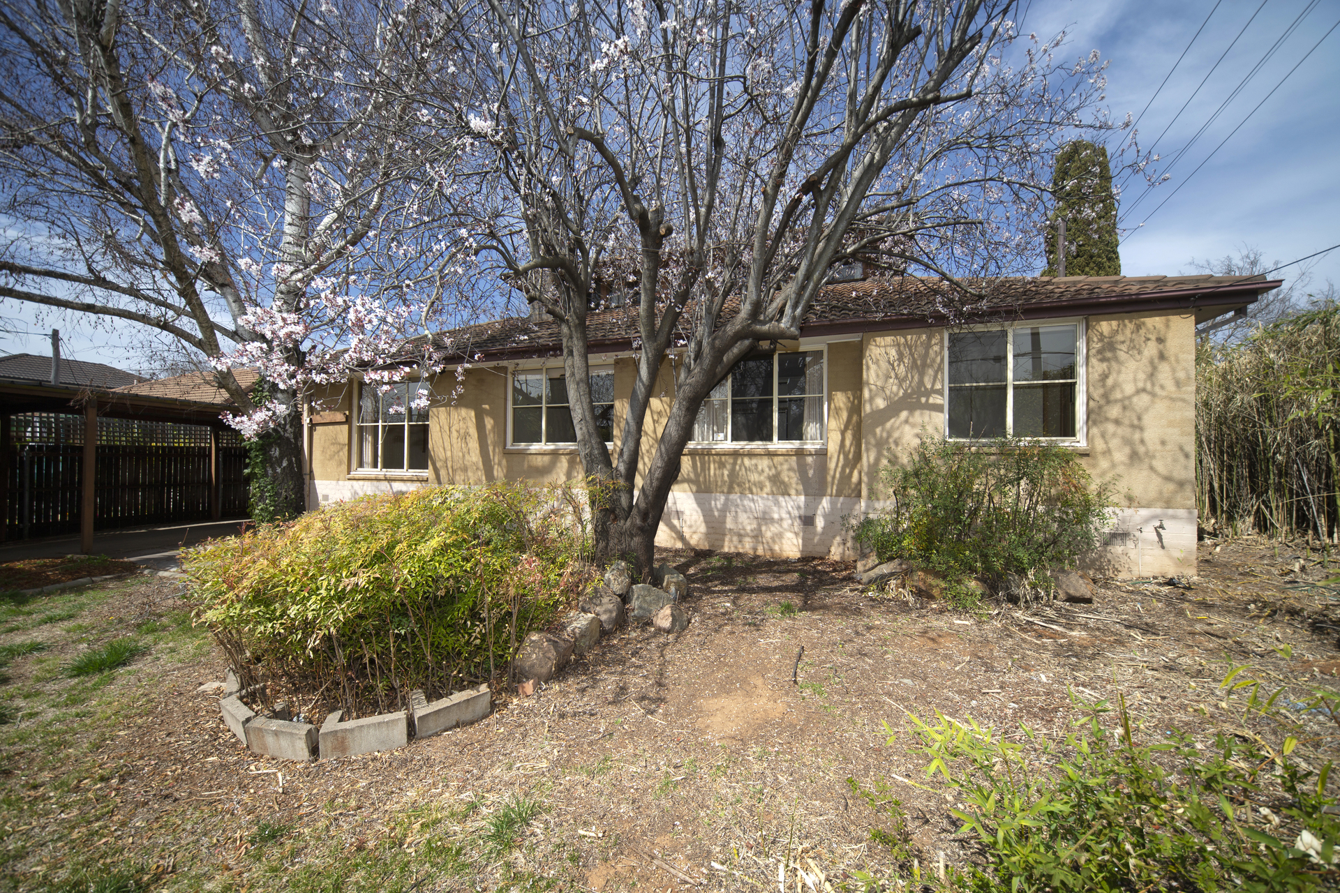 26 Carrington Street, DEAKIN ACT 2600, Deakin - Thumbnail 8
