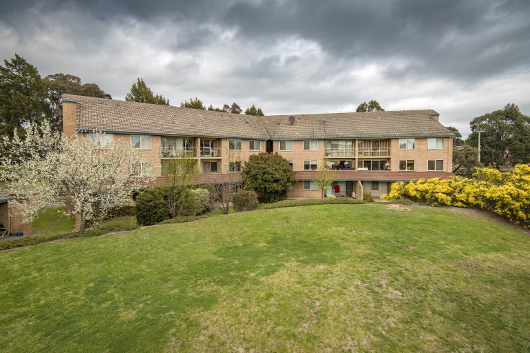 Preview image for Buy