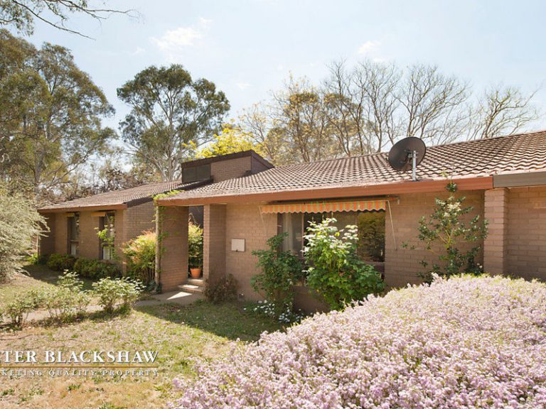 Preview image for Buy