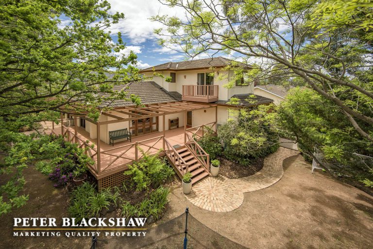 Preview image for Buy