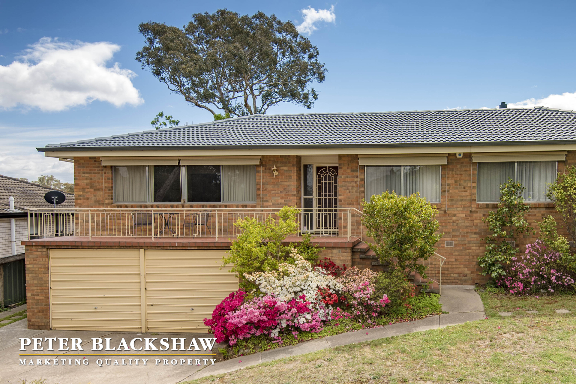 19 Pudney Street, FARRER ACT 2607, Farrer - Thumbnail 4