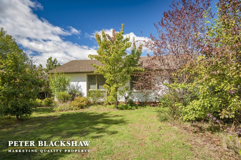 Preview image for Buy