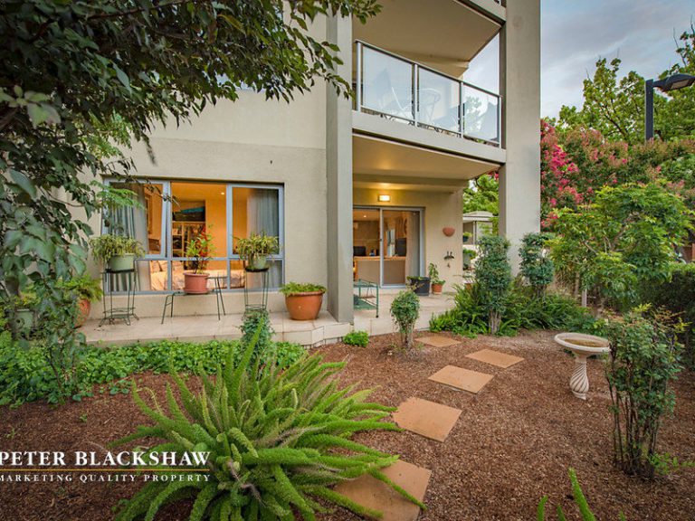 Preview image for Buy