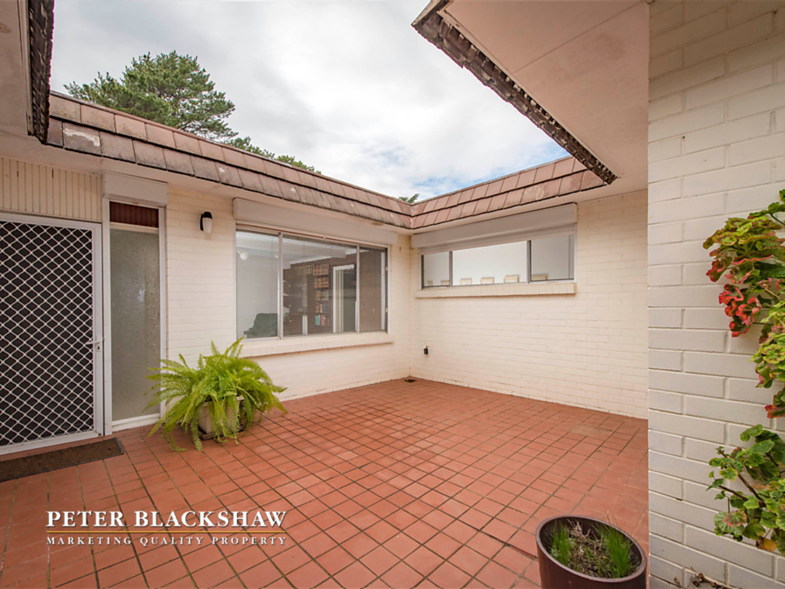 5 Douglas Place, CURTIN ACT 2605, Curtin - Thumbnail 4