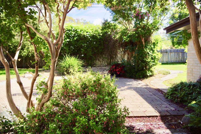 Preview image for Buy