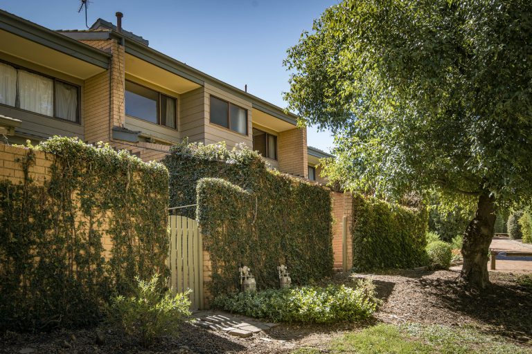 Preview image for Buy