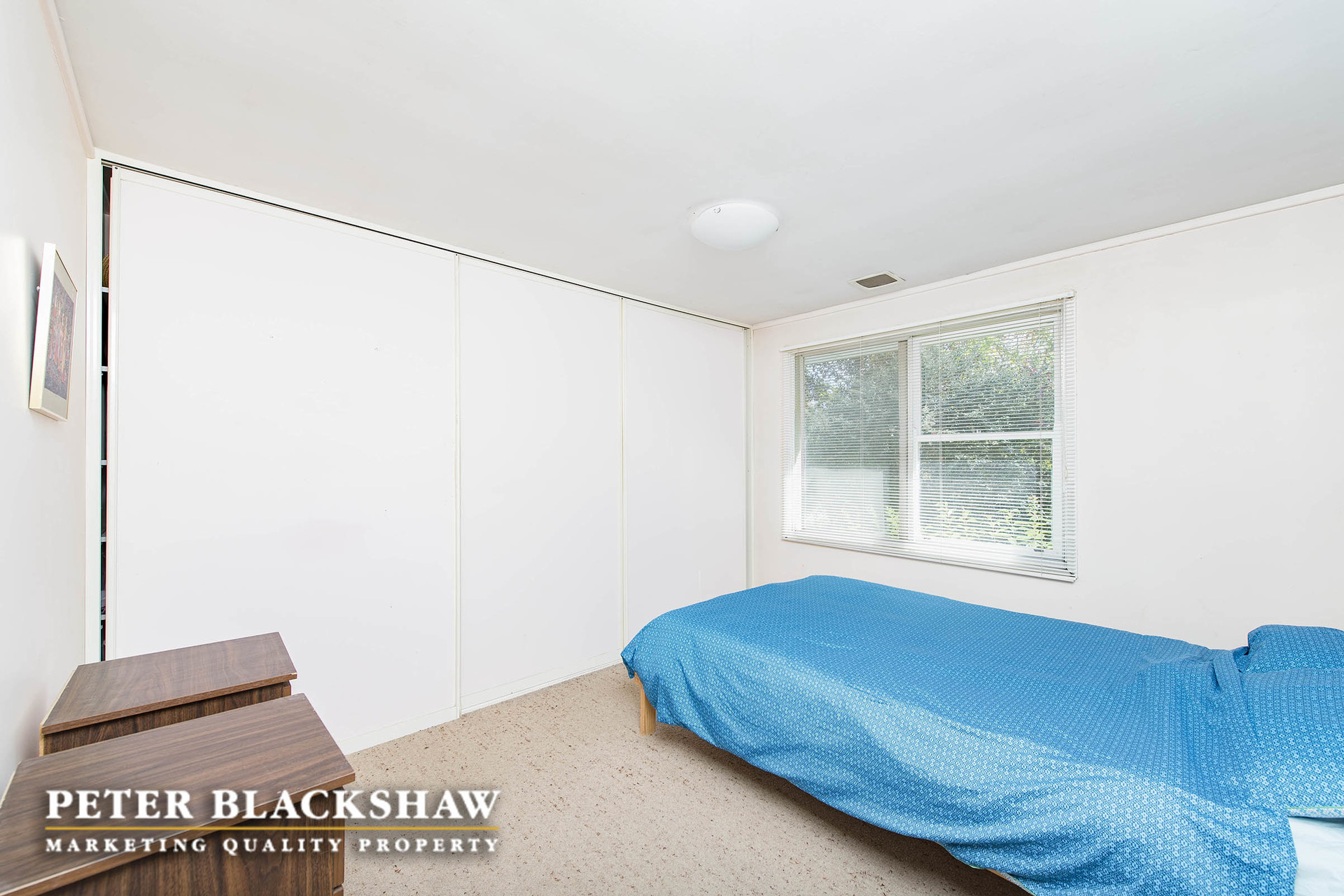 22 Collier Street, CURTIN ACT 2605, Curtin - Thumbnail 6