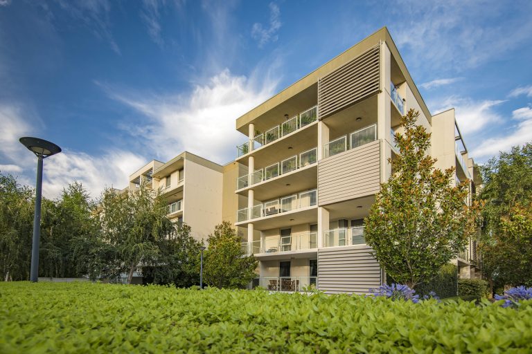 Preview image for Buy