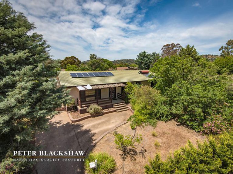 Preview image for Buy