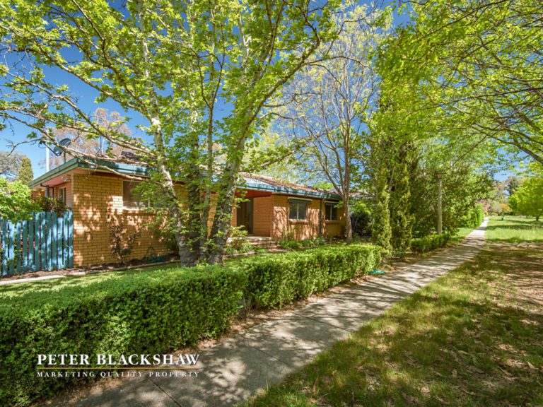 Preview image for Buy